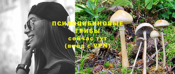 крисы Лихославль