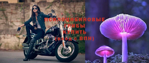 крисы Лихославль
