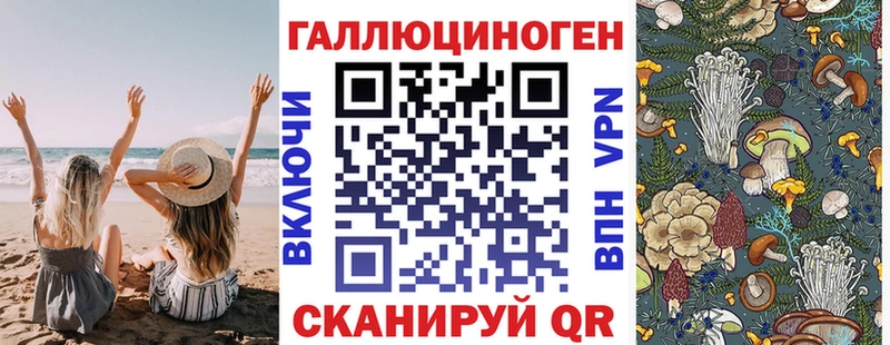 цены   Торопец  Псилоцибиновые грибы Psilocybe 