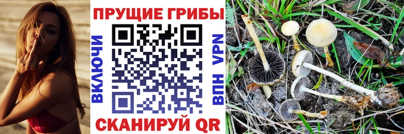 Псилоцибиновые грибы ЛСД Торопец